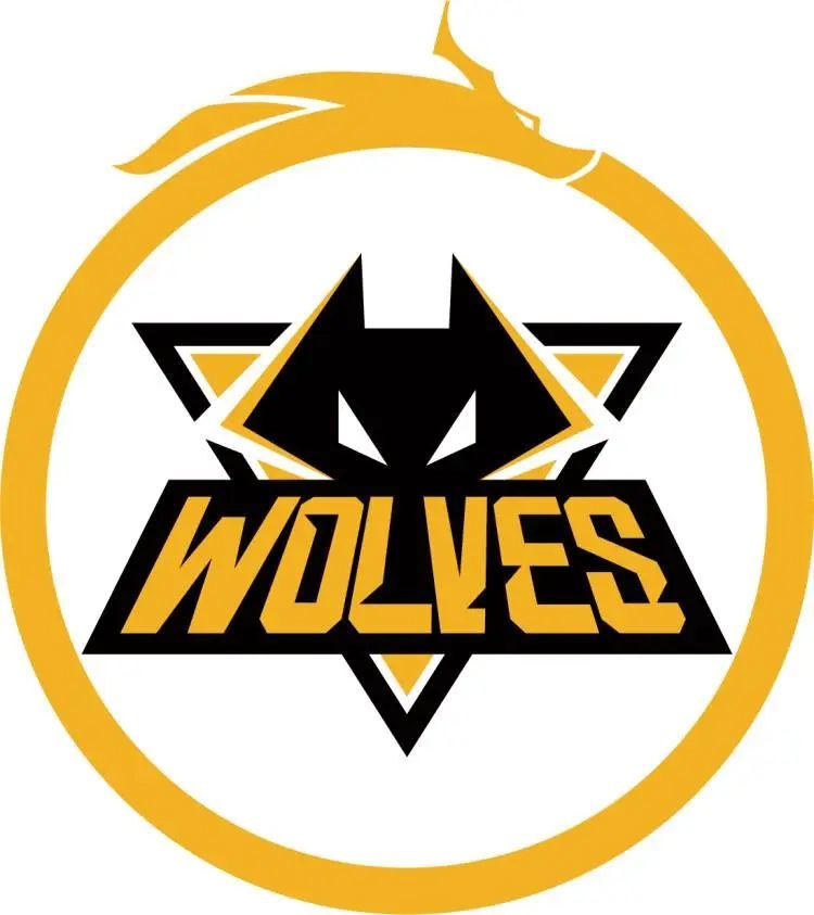 s1mple未来何去何从？